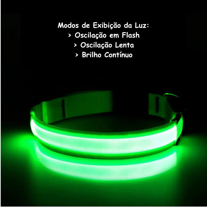 Coleira Luminosa LED Light