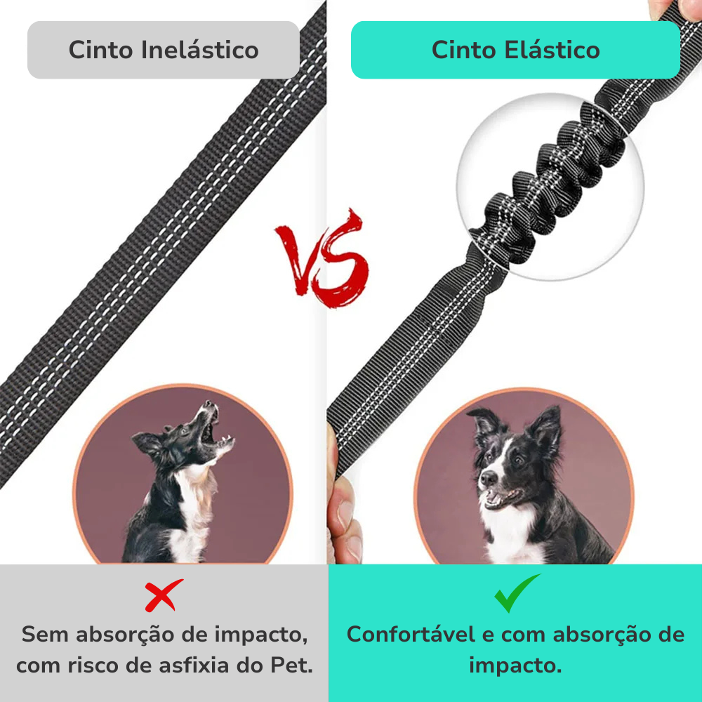 Cinto de Segurança Elástico Pet Madison