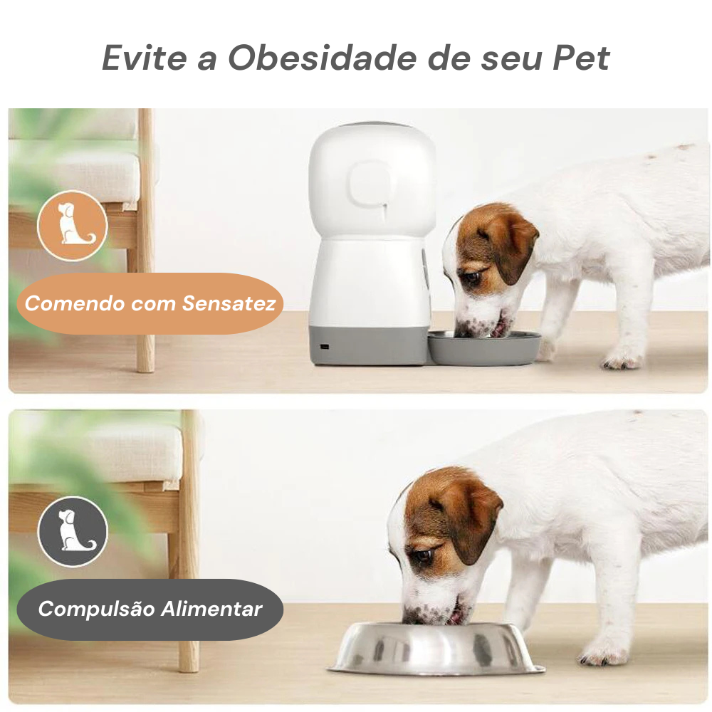 Alimentador Automático Wi-Fi Pet Connect