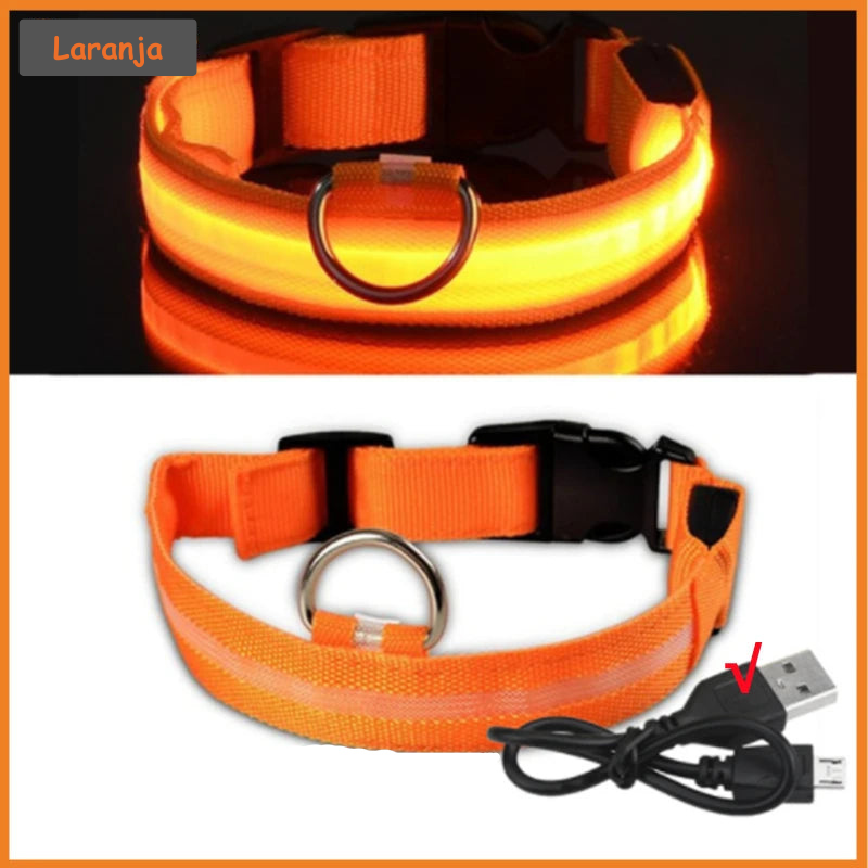 Coleira Luminosa LED Light