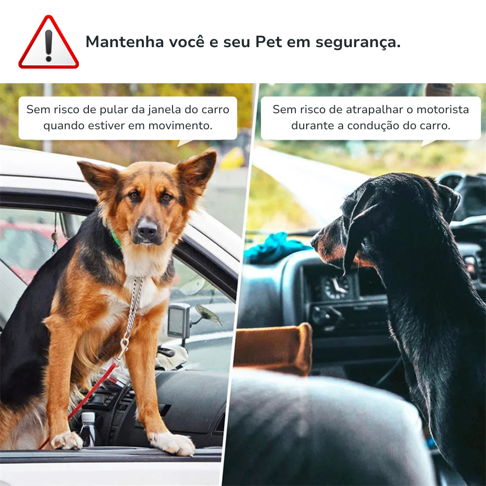 Cinto de Segurança Elástico Pet Madison