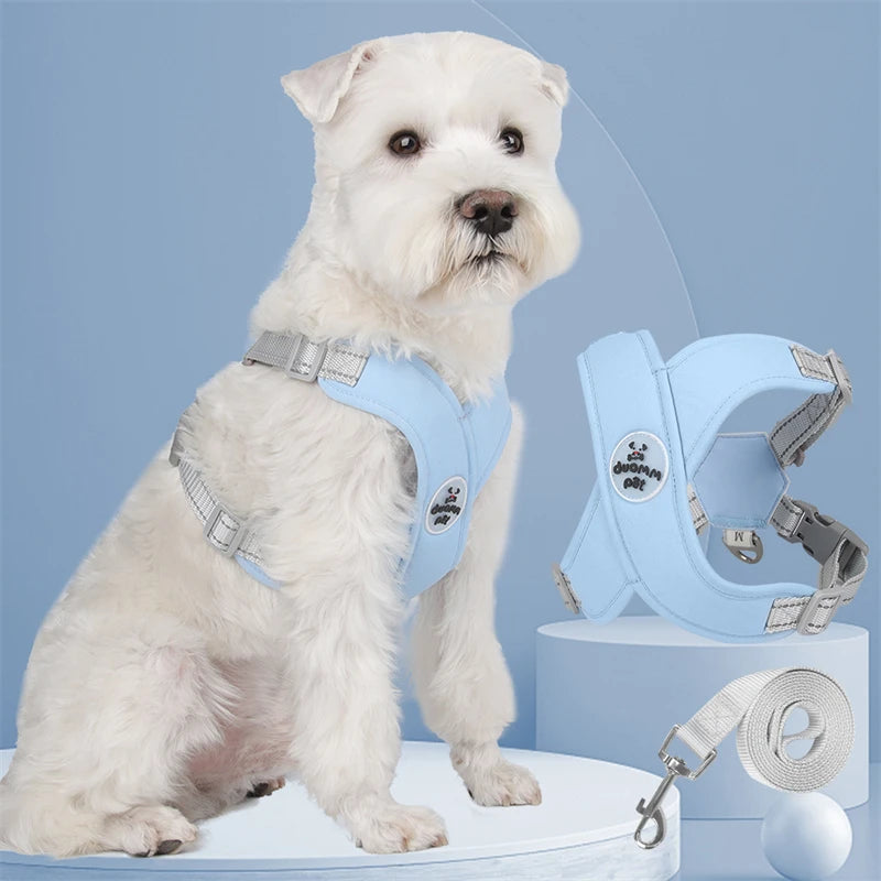Kit Guia + Peitoral X Comfort Pet
