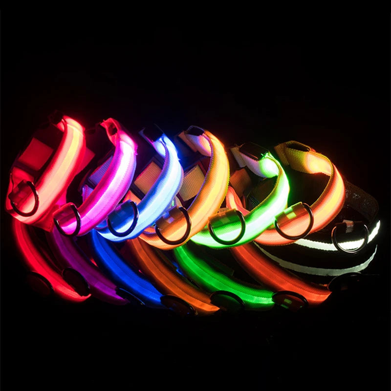 Coleira Luminosa LED Light