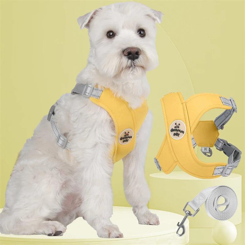 Kit Guia + Peitoral X Comfort Pet