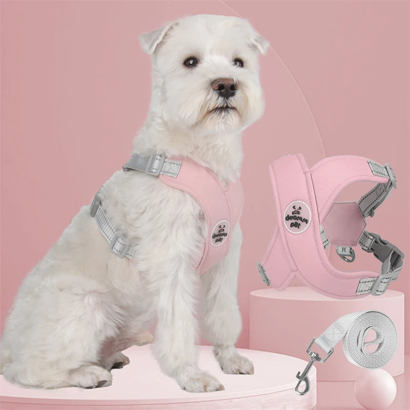 Kit Guia + Peitoral X Comfort Pet