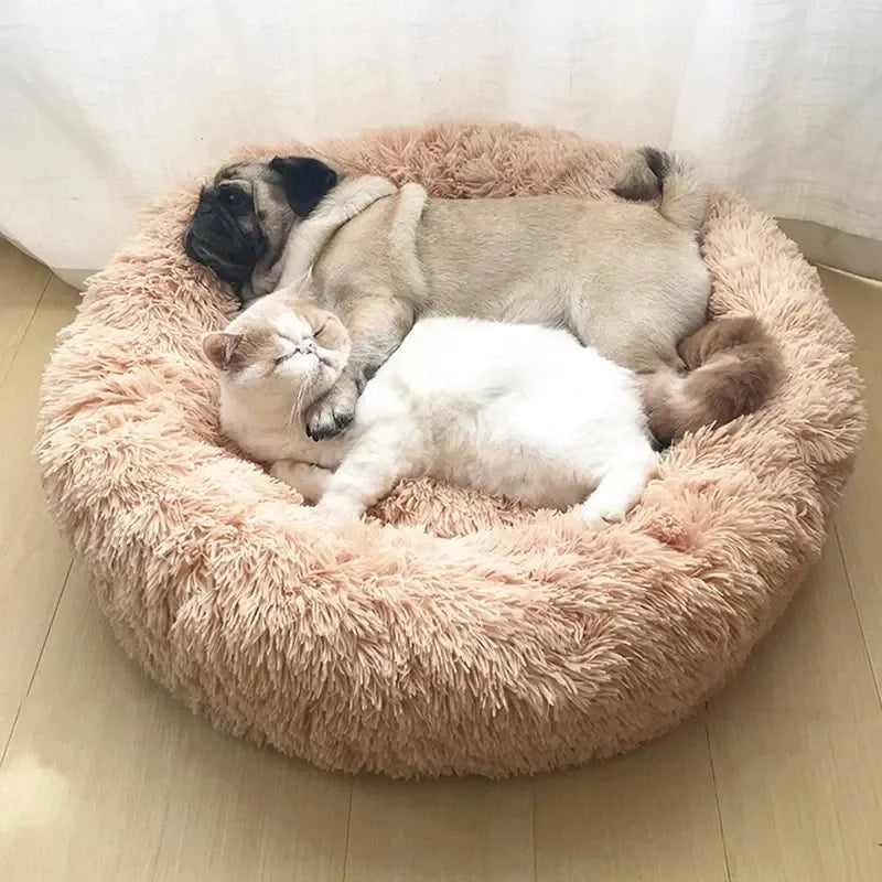 Caminha Redonda para Pets Donuts