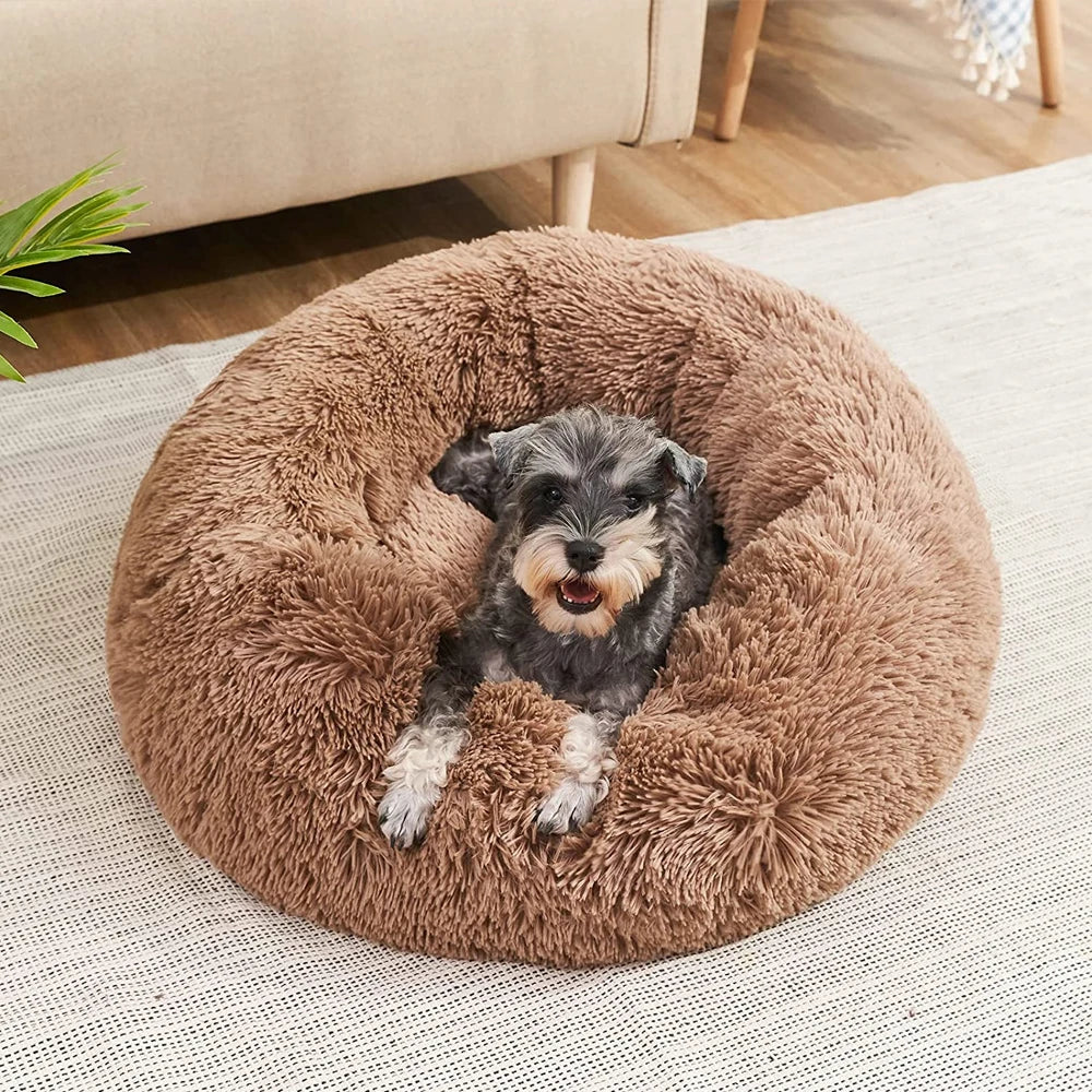 Caminha Redonda para Pets Donuts