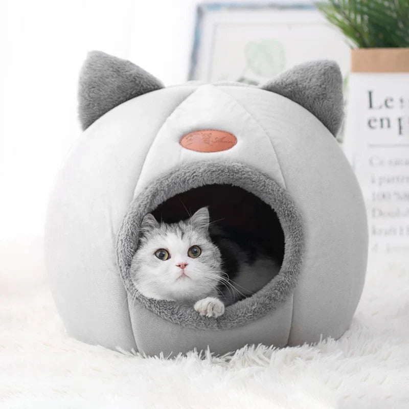 Gatos