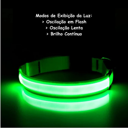 Coleira Luminosa LED Light