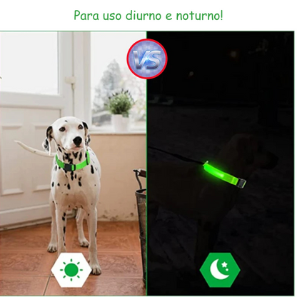 Coleira Luminosa LED Light