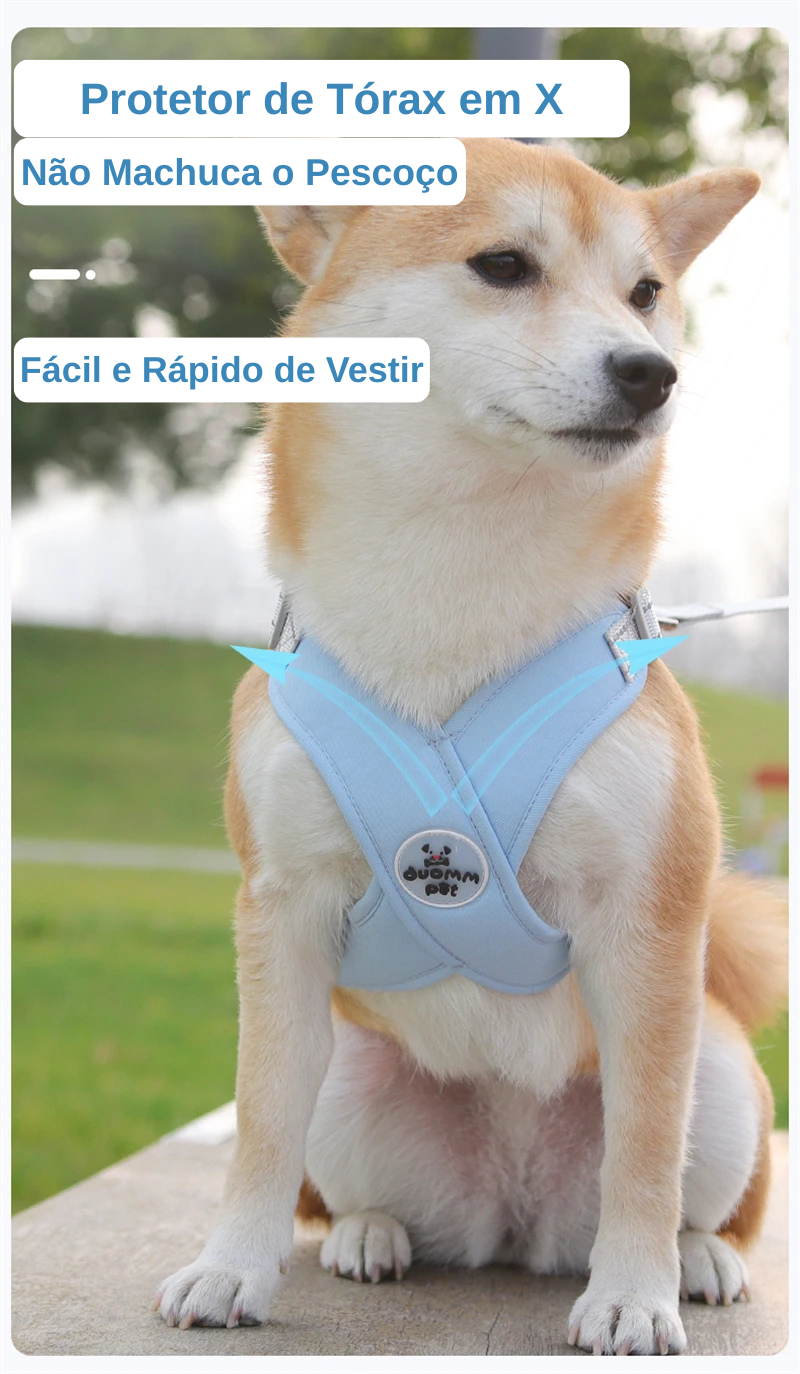 Kit Guia + Peitoral X Comfort Pet