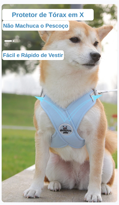 Kit Guia + Peitoral X Comfort Pet
