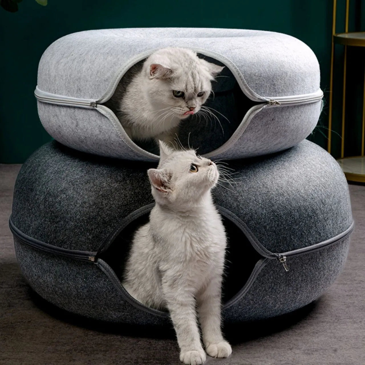 Cama Donuts Interativa Pet Kitten