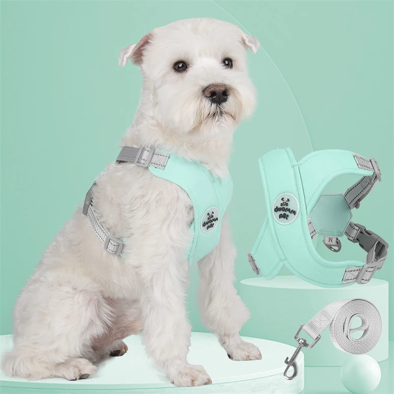 Kit Guia + Peitoral X Comfort Pet