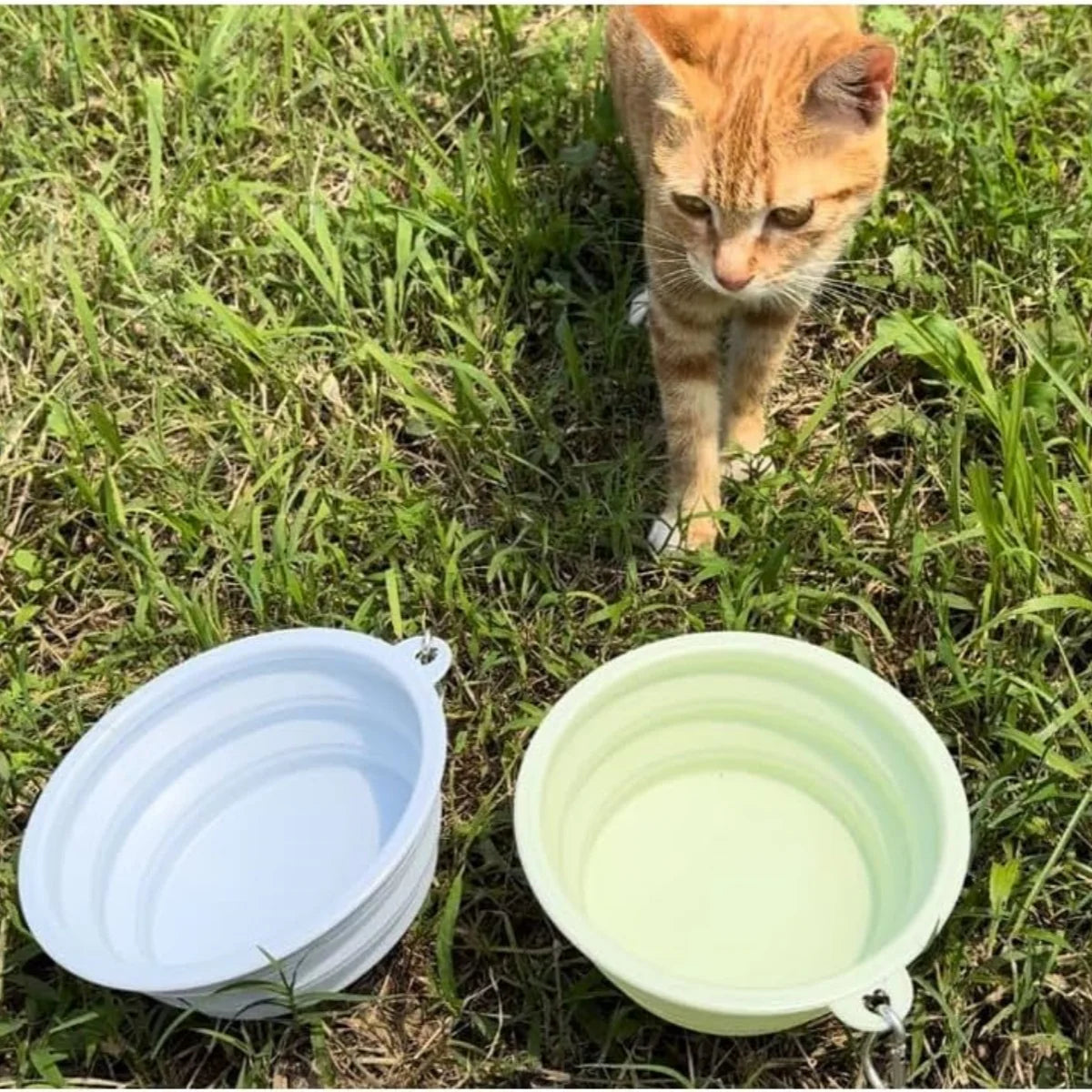 Tigela Dobrável em Silicone Austin (2 peças)