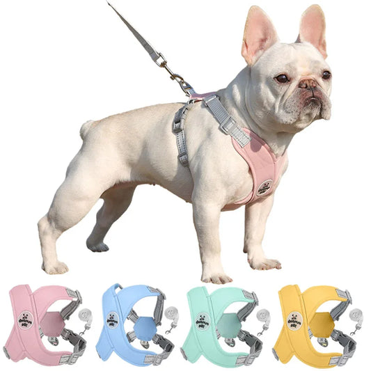 Kit Guia + Peitoral X Comfort Pet
