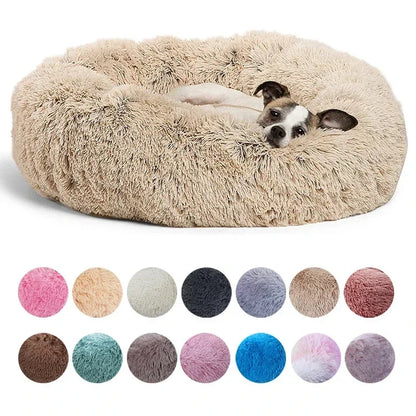 Caminha Redonda para Pets Donuts