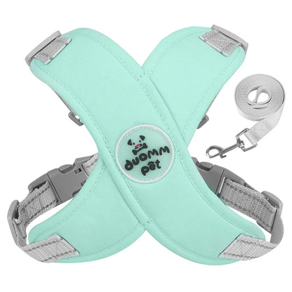 Kit Guia + Peitoral X Comfort Pet