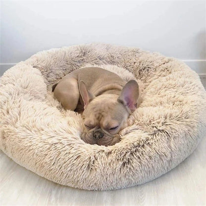 Caminha Redonda para Pets Donuts